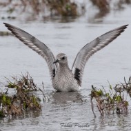 adulto in abito invernale, novembre
