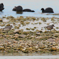 abiti giovanili, Lago di Garda (VR), 17.11.2007