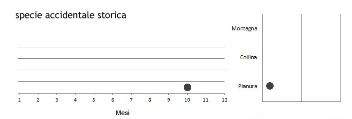 grafico_decadi_vuoto