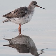 adulto in abito invernale, ottobre