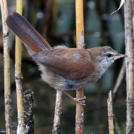 giovane, Verona, 28.09.2013