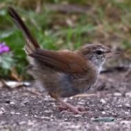 giovane, Verona, 28.09.2013