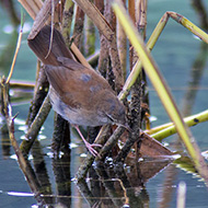 giovane, Verona, 28.09.2013