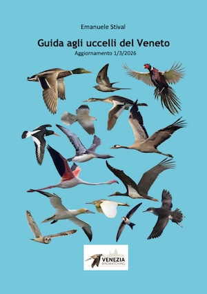 UCCELLI VENETO