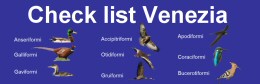 check_list_ve_.jpg