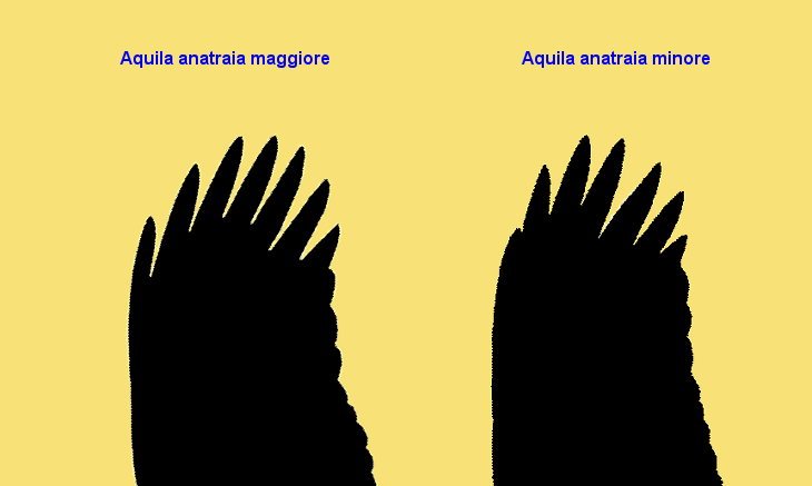 aquana_mag_min.gif
