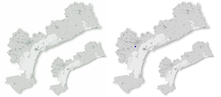 pellicano_comune_dis.jpg