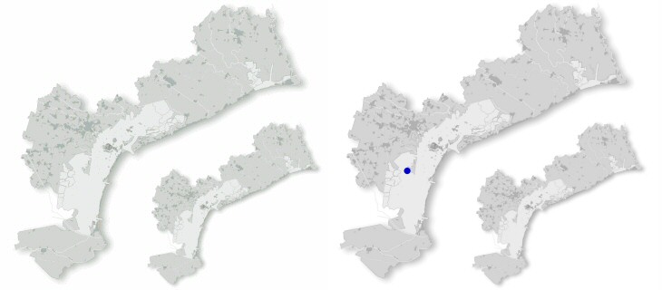 piovanello_maggiore_dis.jpg