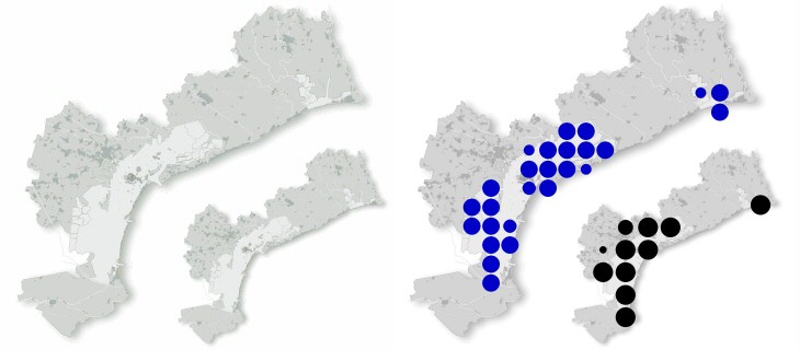 piovanello_pancianera_dis.jpg