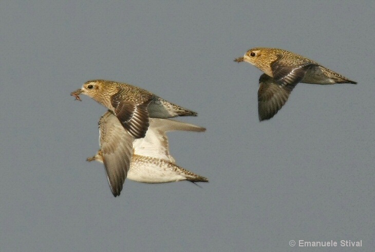 Individui in abito invernale in volo