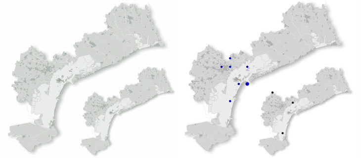 rampichino_sp_dis.jpg